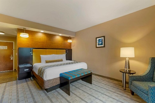 Best Western Plus Miami Executive Airport Hotel & Suites image 5